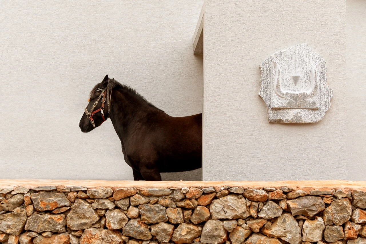 eco archdesign | christina kolokotroni | architect